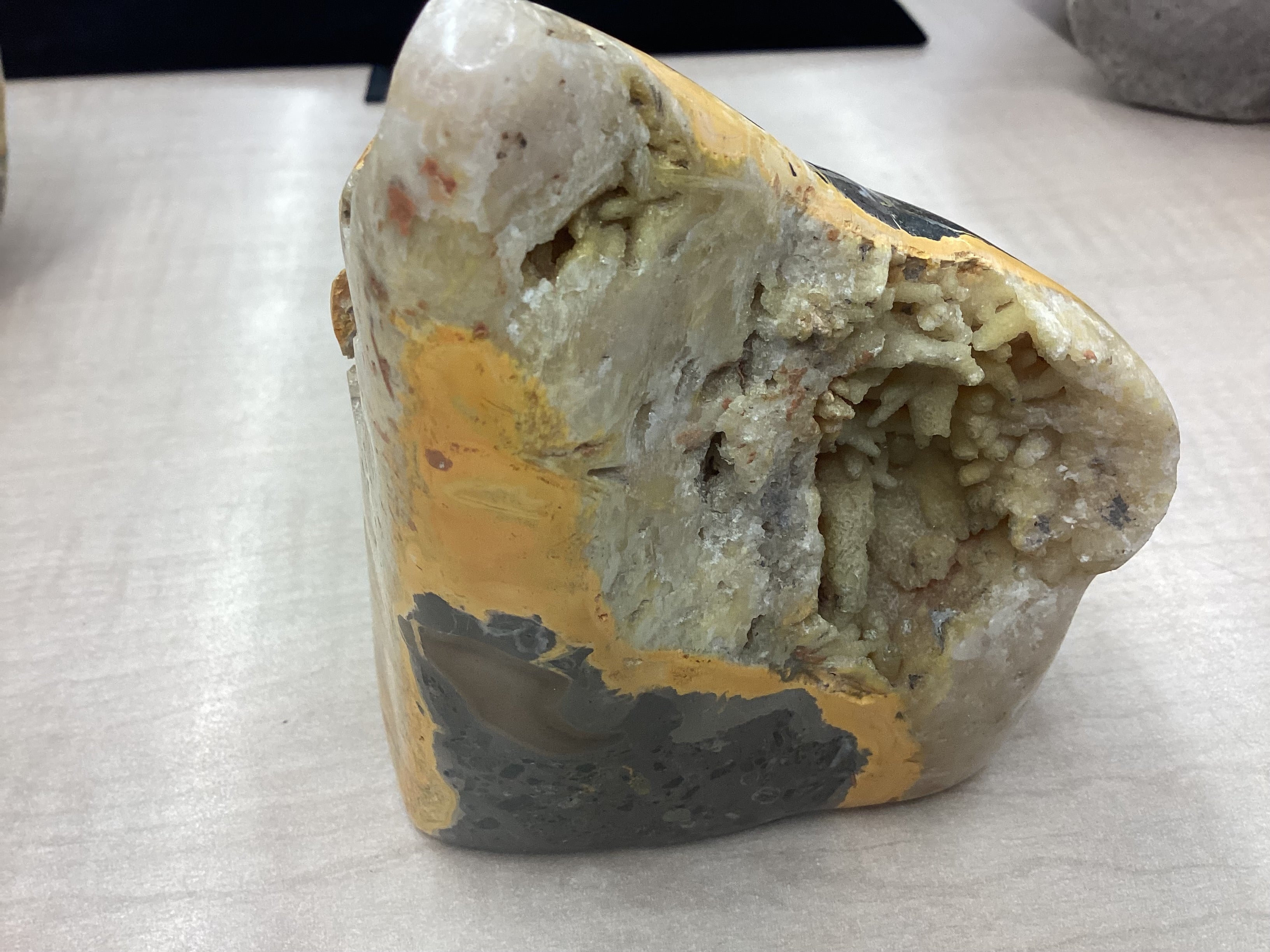 Bumblebee Jasper Freeform