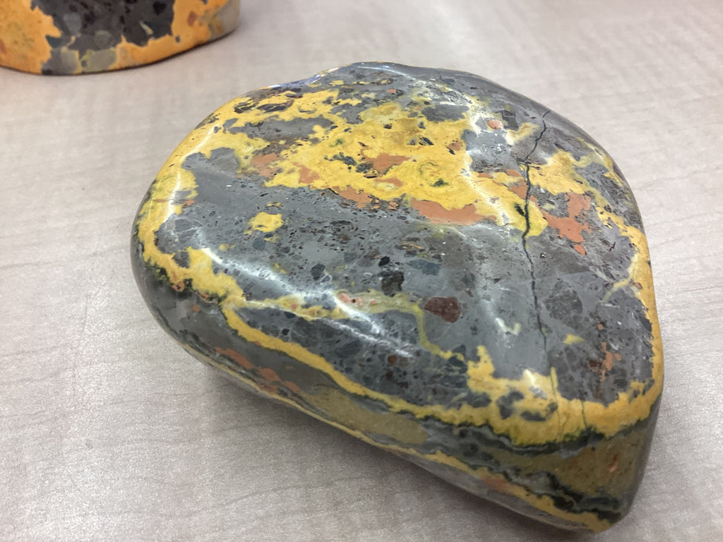 Bumblebee Jasper Freeform