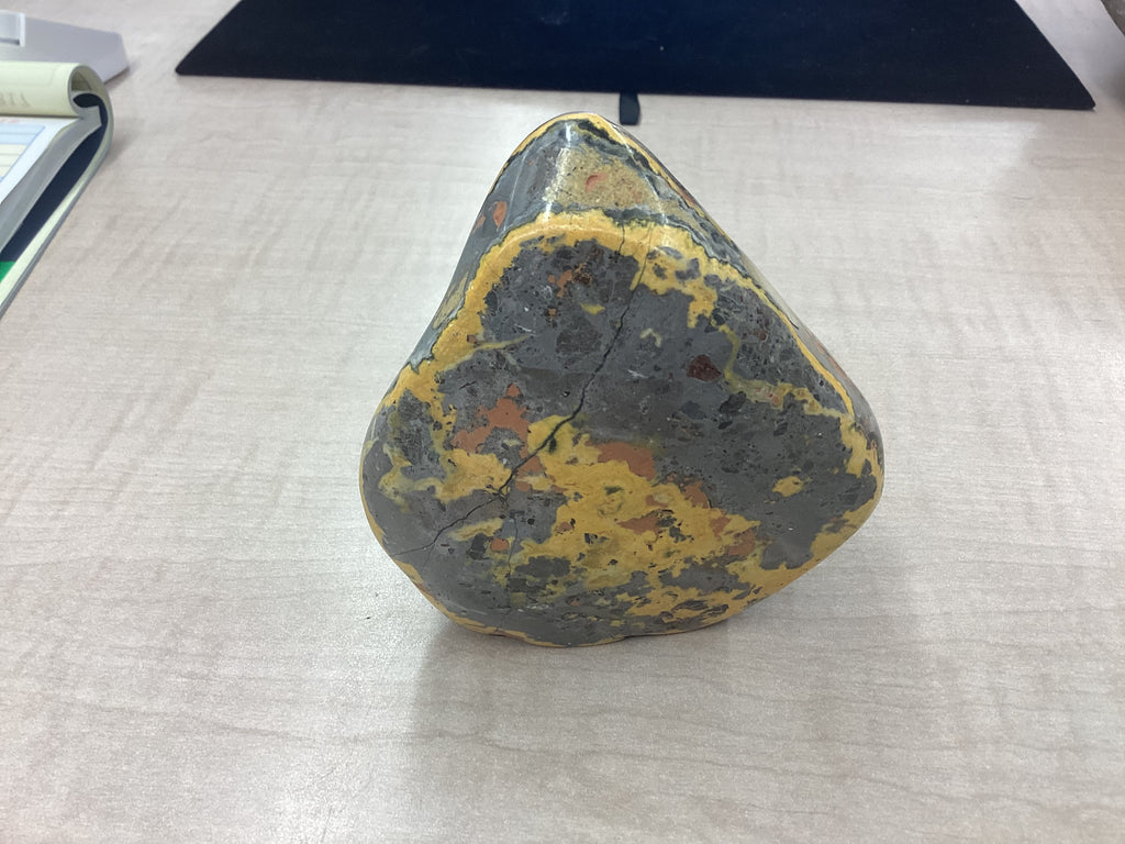 Bumblebee Jasper Freeform