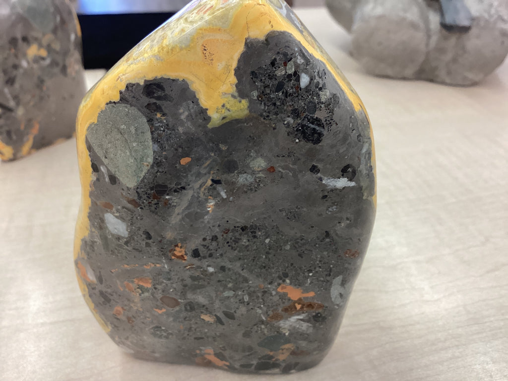 Bumblebee Jasper Freeform