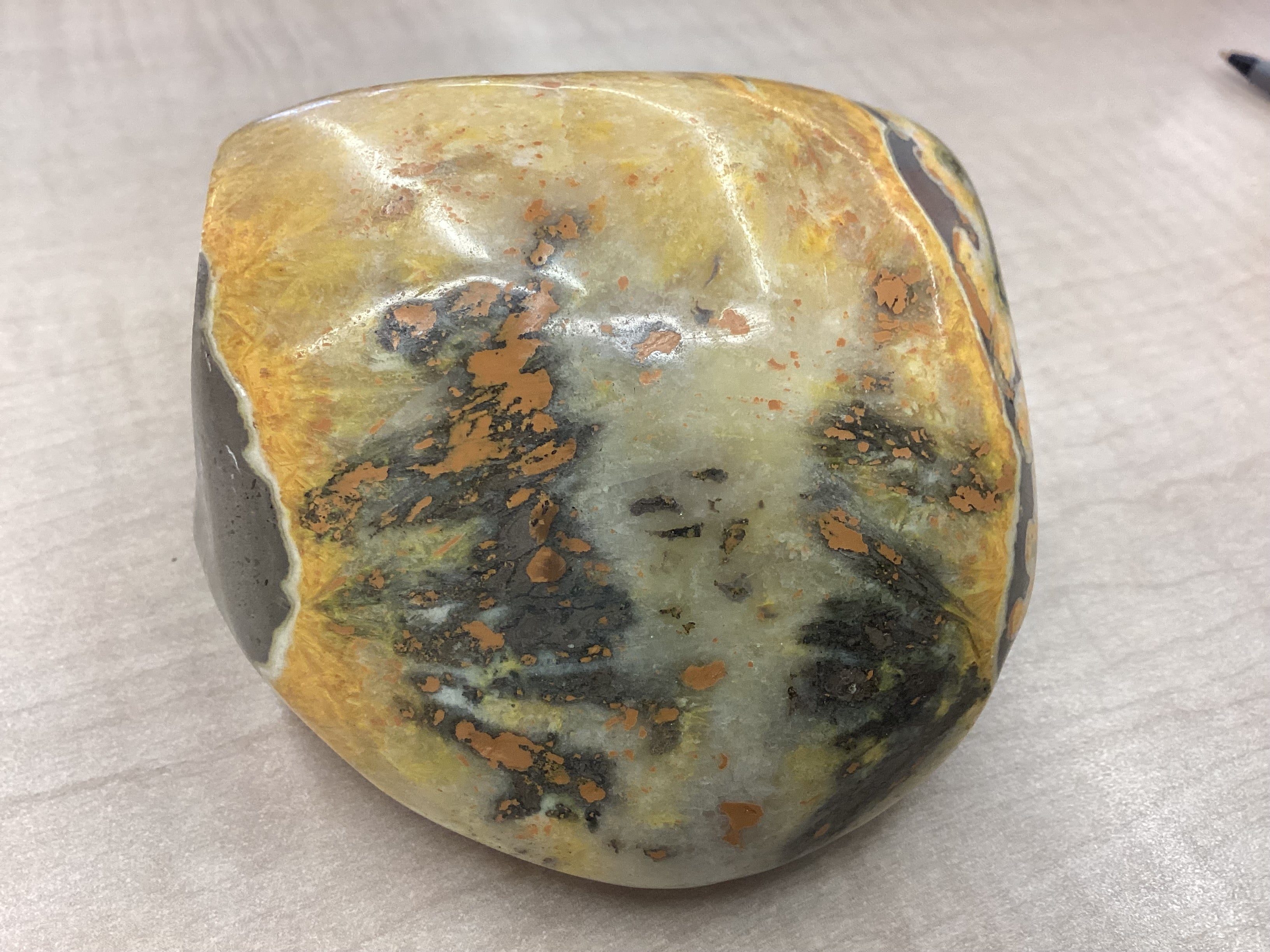 Bumblebee Jasper Freeform