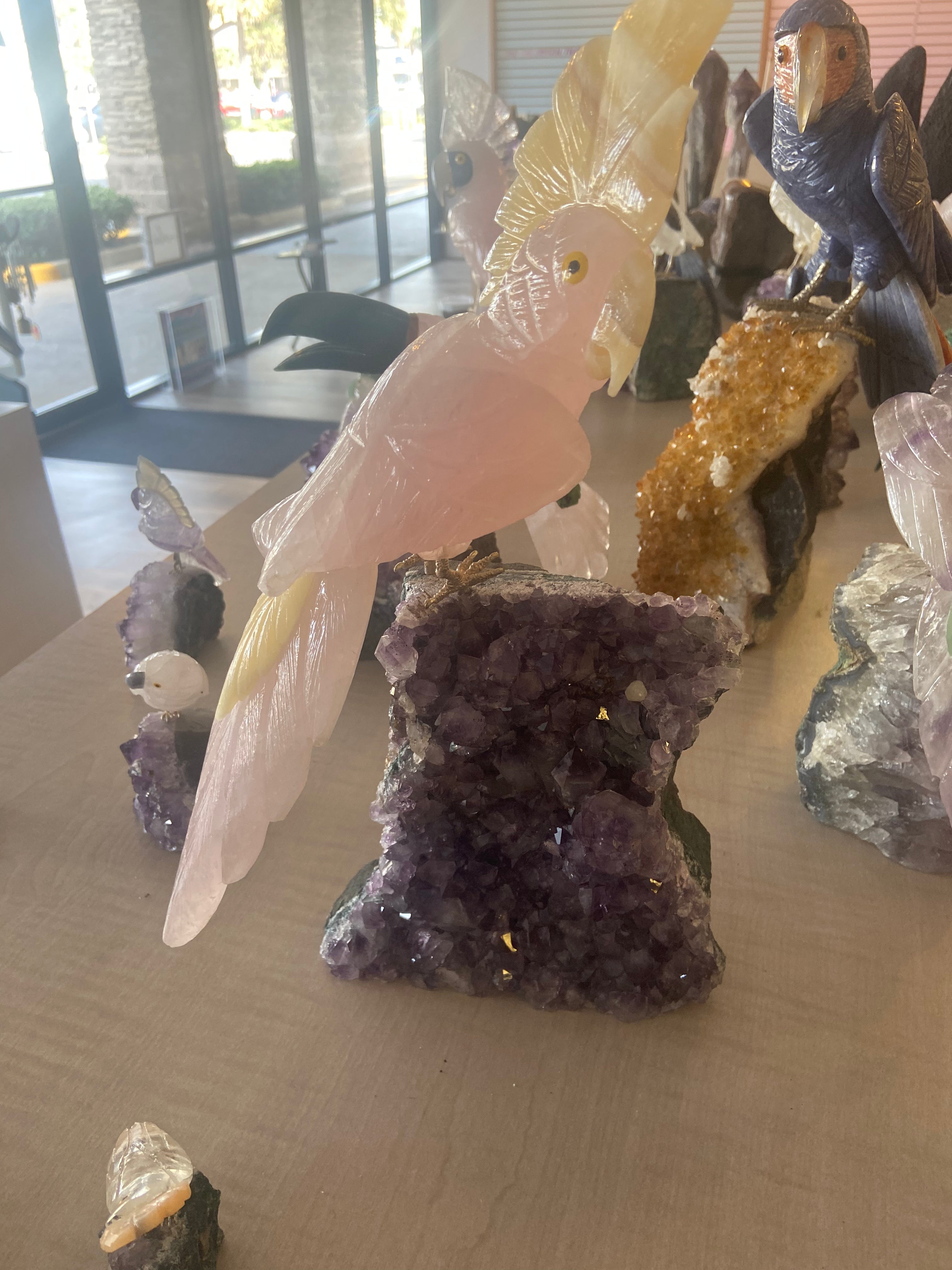Rose Quartz Crystal Cockatoo on Amethyst Base