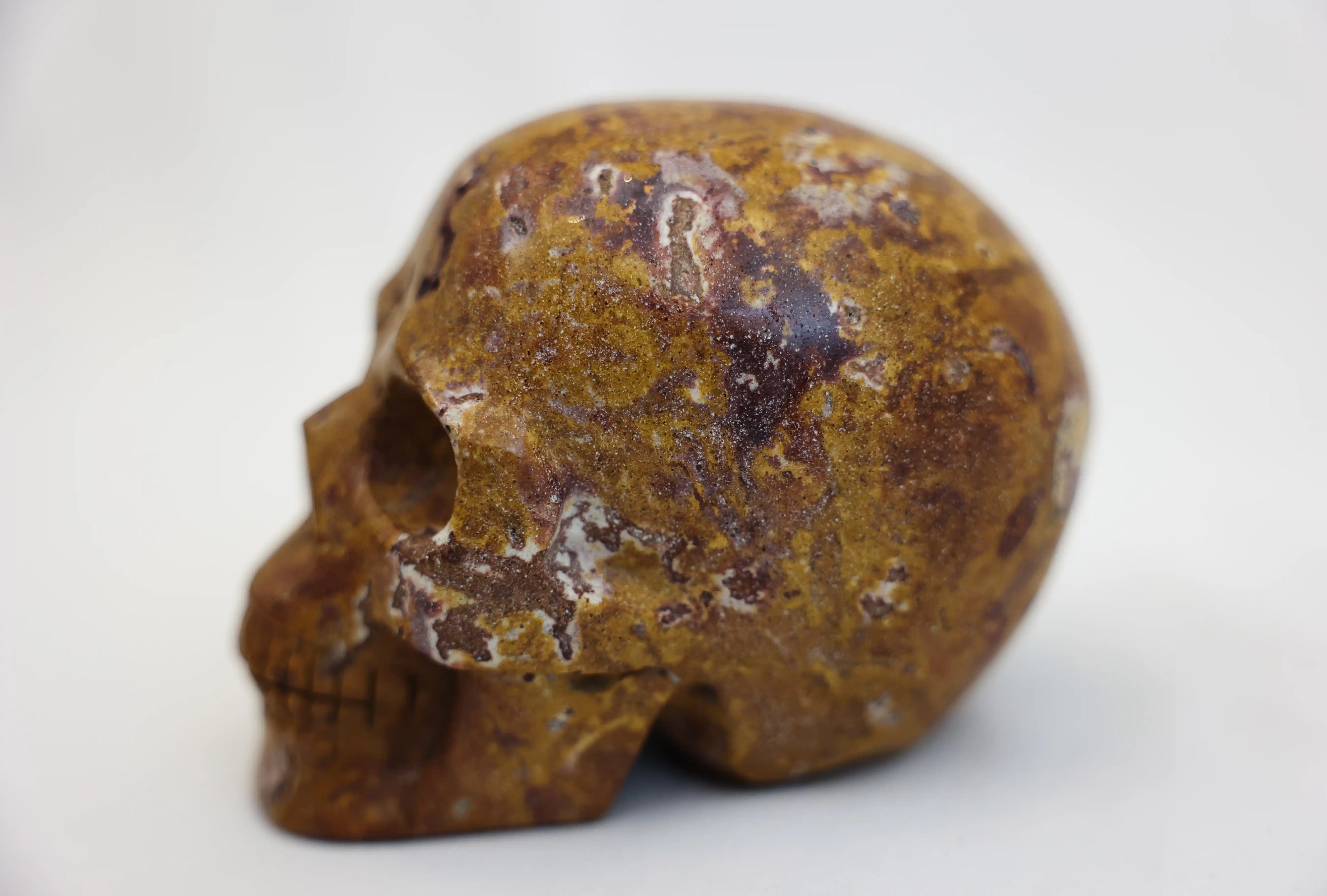 Mookaite Skull