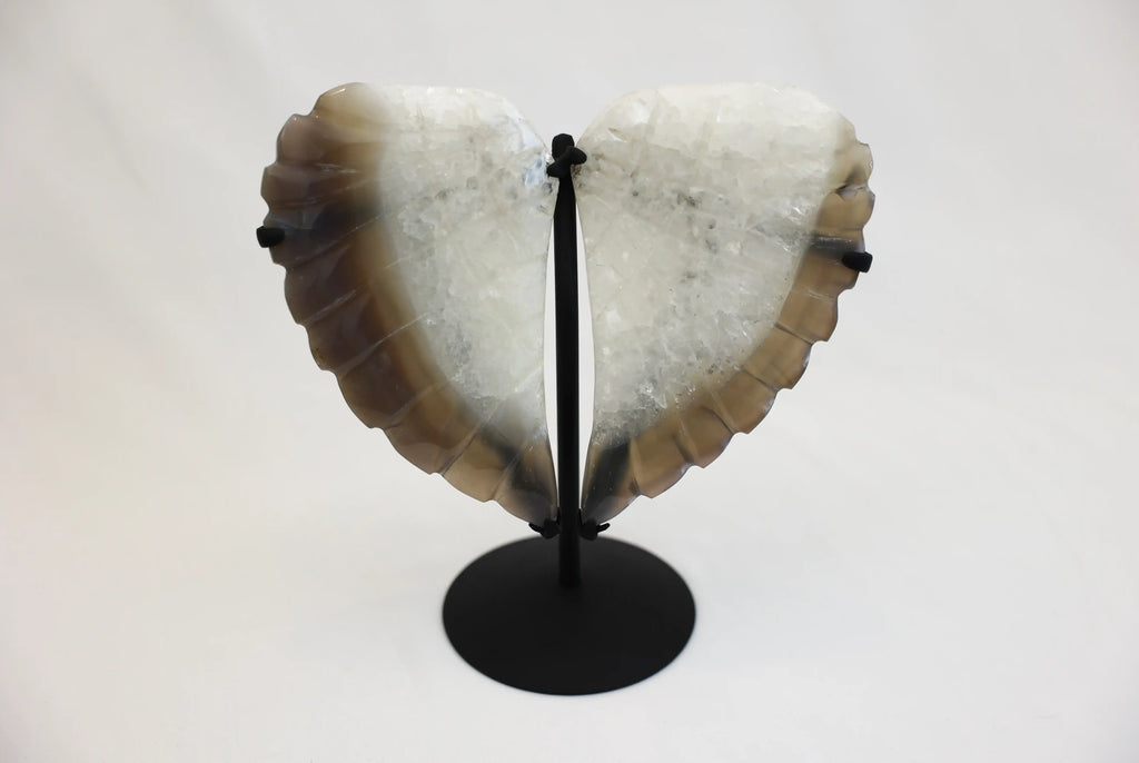 Angel Wings