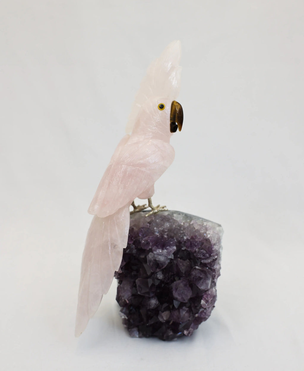 Cockatoo on Amethyst