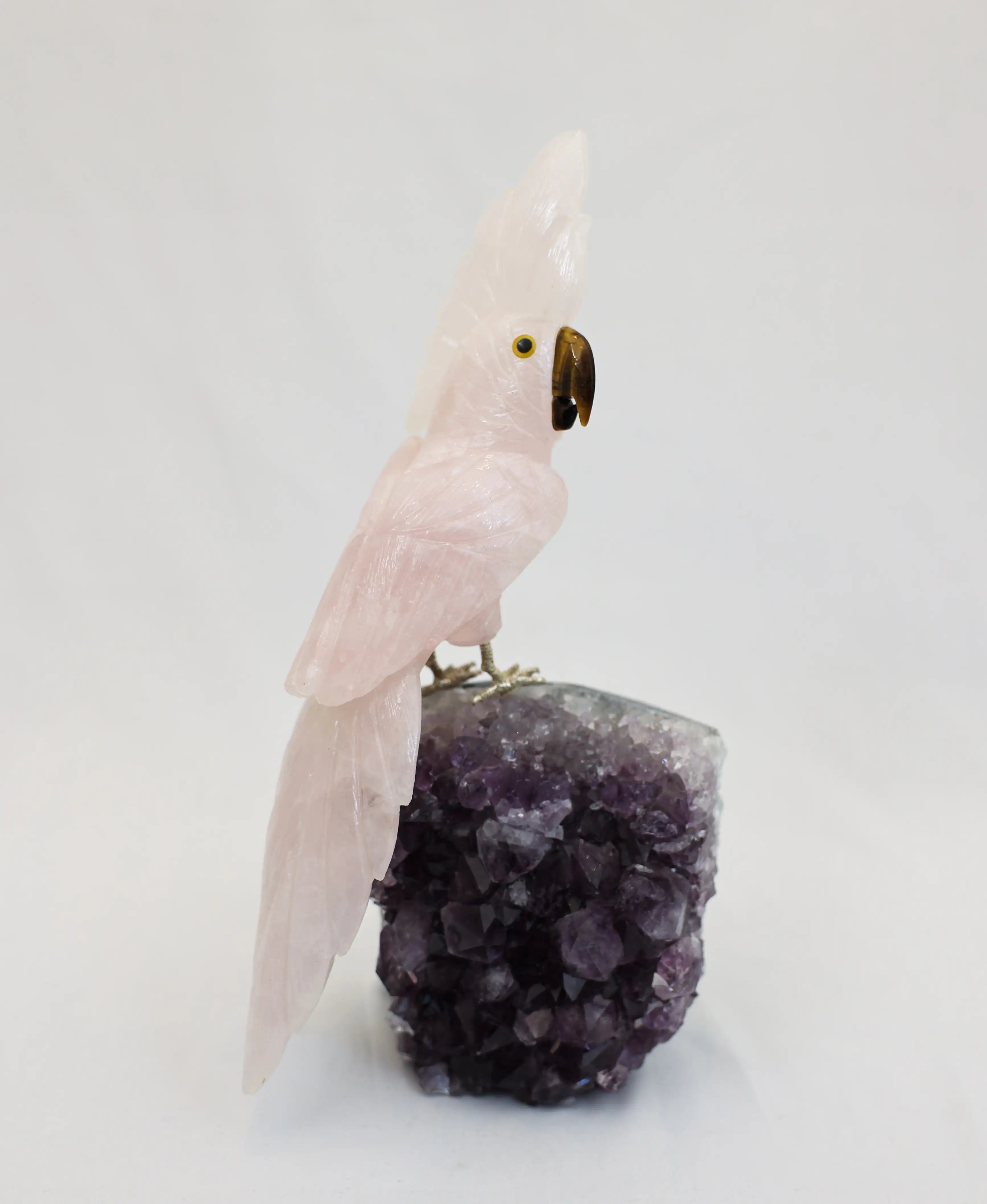 Cockatoo on Amethyst