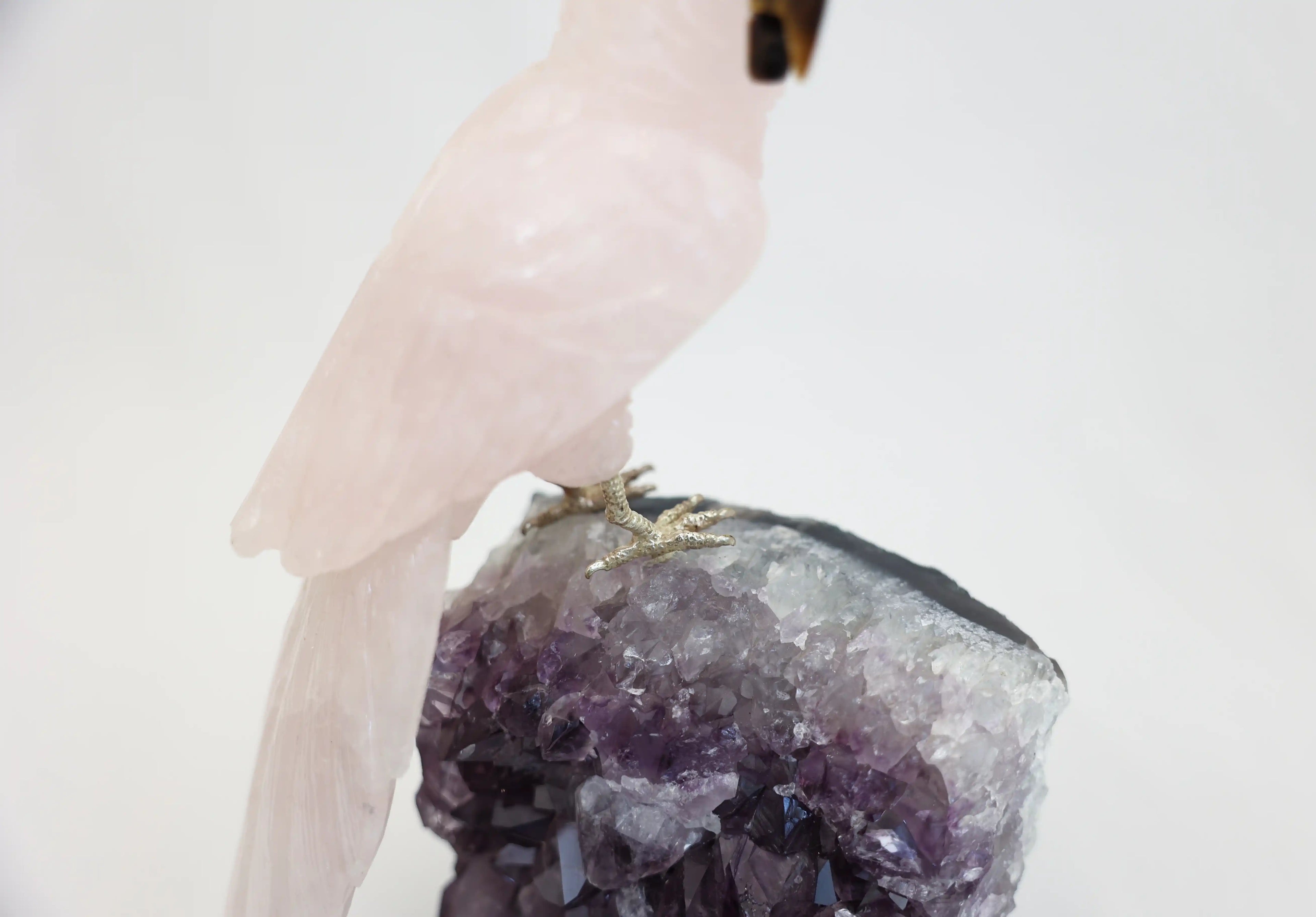 Cockatoo on Amethyst