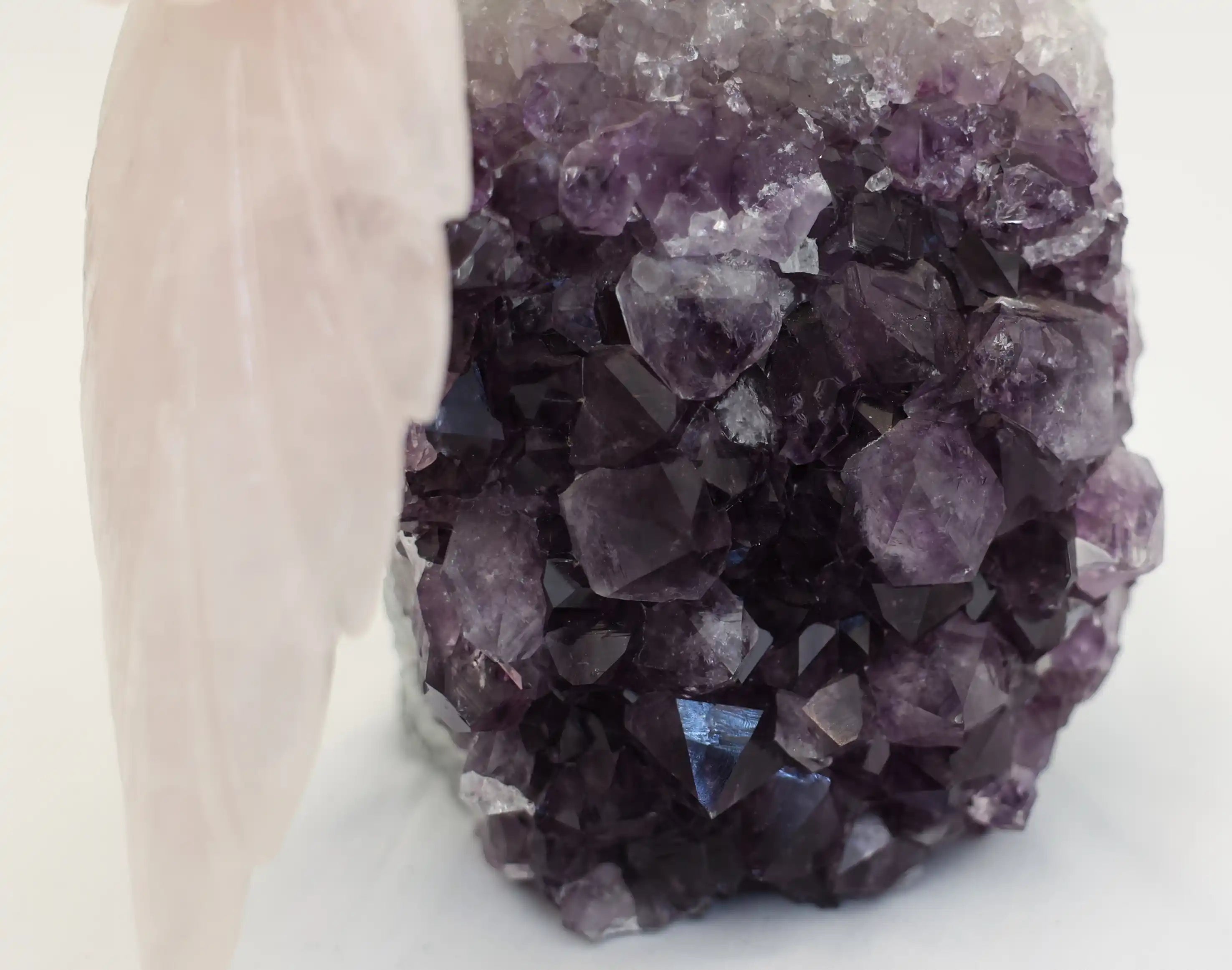 Cockatoo on Amethyst